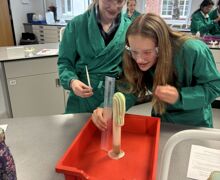 IMAGE CONSENT Lotti White Chloe Sage