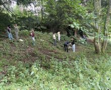 Belt transect activity