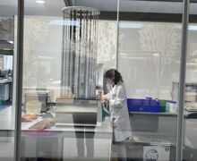 Scientist working in the Millennium Seedbank