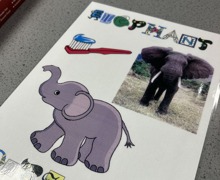 Elephant toothpaste 3