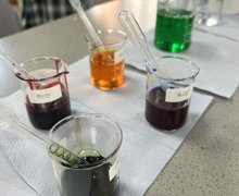 Elephant toothpaste 2