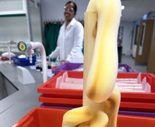 Elephant toothpaste 1