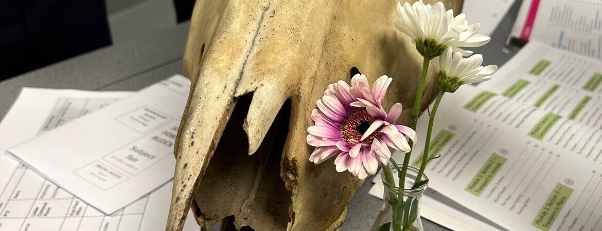 Sixth Form Open Evening