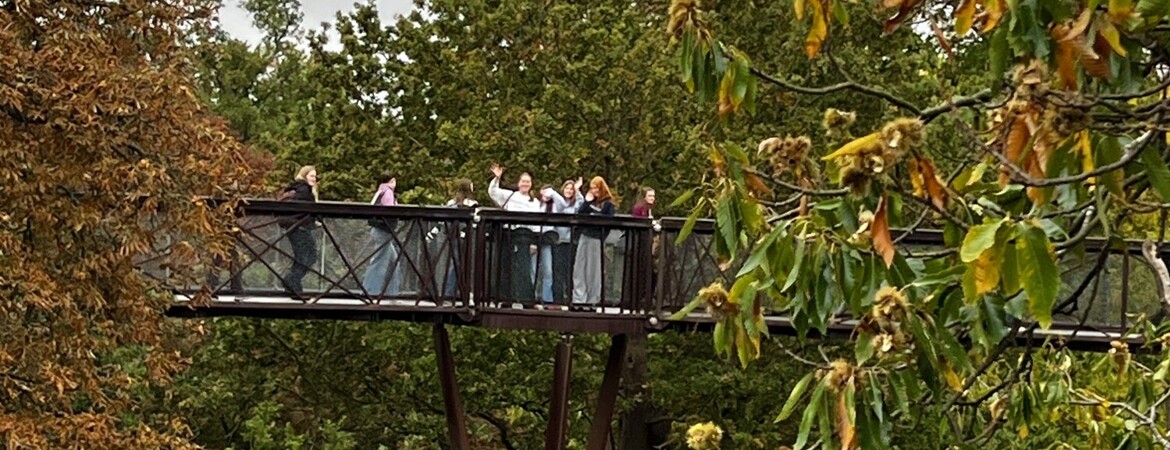 First Year GCSE and A Level Artists Visit Kew Gardens